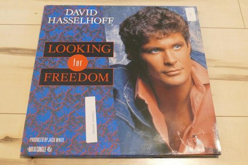 David hasselhoff looking for - -,